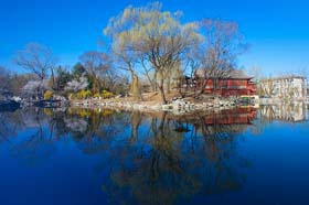 4月29日|北大國(guó)發(fā)院“中國(guó)經(jīng)濟(jì)觀察（CEO）”第53次季度報(bào)告會(huì)