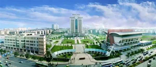 教授觀點｜西財工商王祎教授：遠(yuǎn)程辦公只是短期“宅經(jīng)濟”，還是疫后新變革？