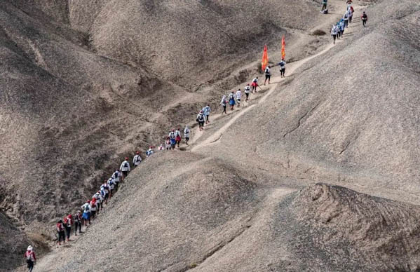 1615716162279629.jpg 微信圖片_20210314180048.jpg